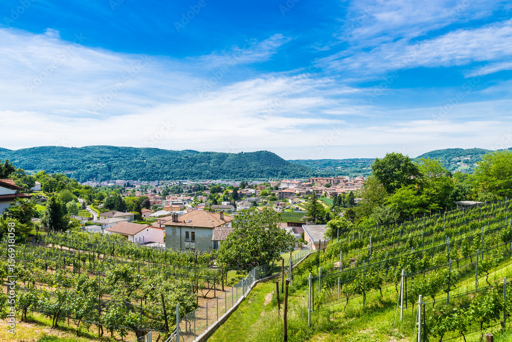 Chiasso, Ticino canton, Switzerland. View of the town of Italian Switzerland, on a beautiful morning with blue sky and white clouds. In the foreground vineyards on the hills surrounding 