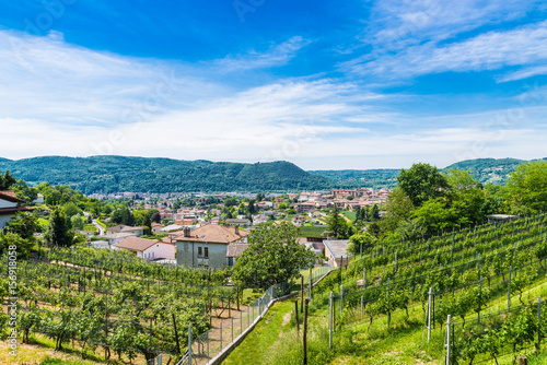 Chiasso, Ticino canton, Switzerland. View of the town of Italian Switzerland, on a beautiful morning with blue sky and white clouds. In the foreground vineyards on the hills surrounding  photo