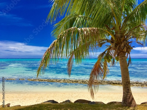 Fototapeta Naklejka Na Ścianę i Meble -  Beautiful white sanded beach and turquoise lagoon of Moorea, Tahiti, French Polynesia