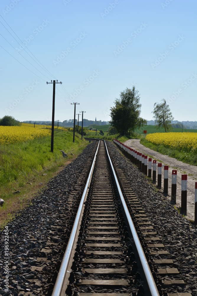 Obraz premium Eisenbahnschinen durchs Rapsfeld in Sellvitz, Rügen