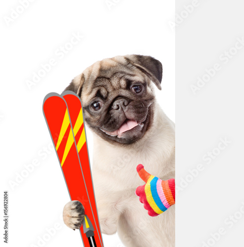 Puppy with skiing showing thumbs up. isolated on white background © Ermolaev Alexandr