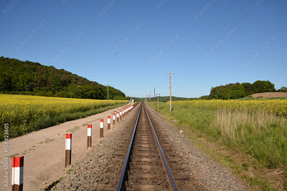 Eisenbahnschinen durchs Rapsfeld in Sellvitz, Rügen