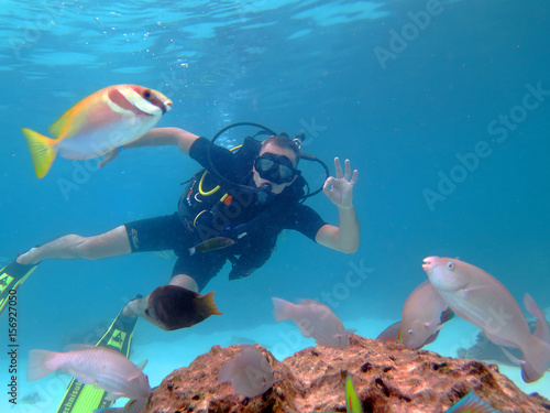 Quadro su tela Diver with fish underwater in the Gulf of Thailand
