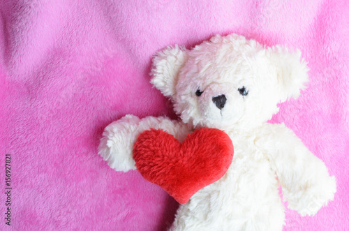 single teddy bear and red heart on pink backgrounds