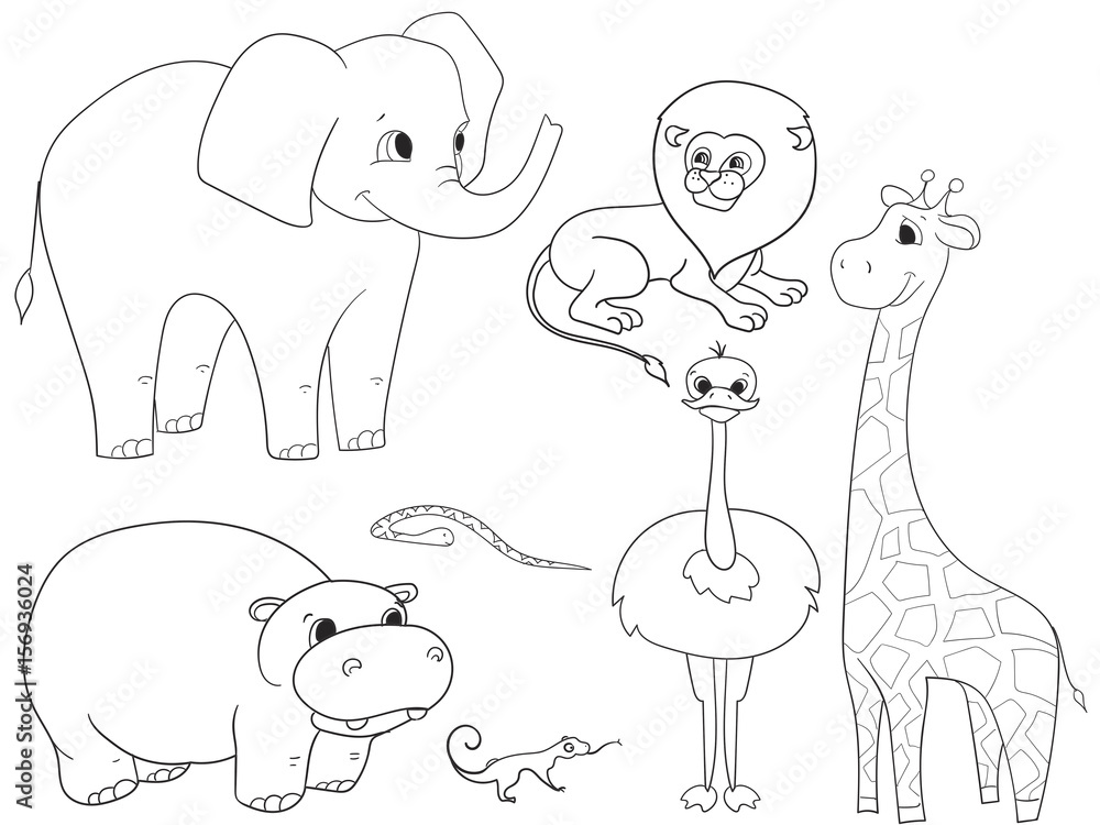 Animals of Africa object coloring vector for adults
