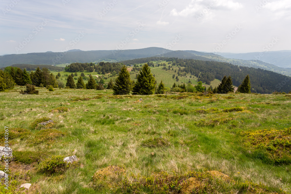 Naklejka premium Paysage de moyenne montagne