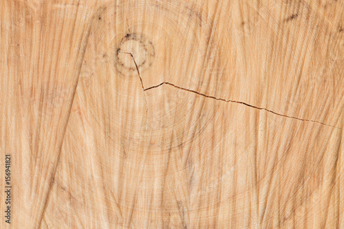 sawn wood texture as background