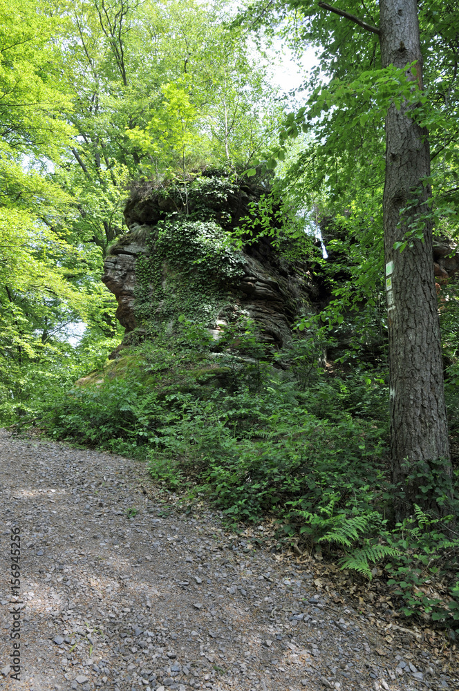 buntsandsteinfelsen in der südpfalz