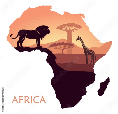 Map of Africa with the landscape of sunset in the Savannah, lion, giraffe, baobab and acacia. Vector background