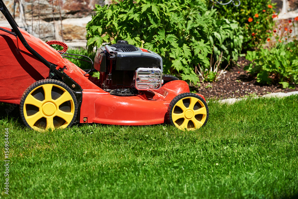 Rasenmäher im Garten, Rasen mähen StockFoto Adobe Stock