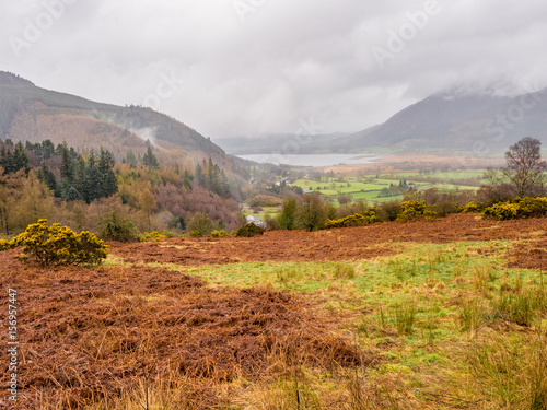 View of Bassenthwaite Lake from Winlatter Pass, Winlatter, Cumbria, UK photo