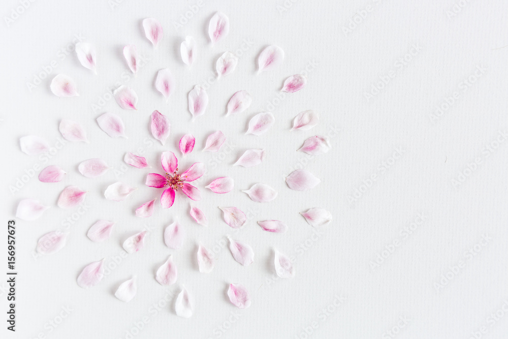 Fototapeta premium top view on round pattern of sacura flowers laying on white background. Concept of love and spring. Dof on sacura flowers. Flat lay. Empty Space for the text.