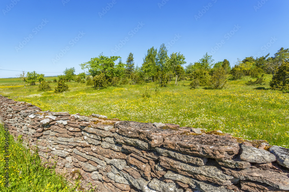 Old limestone stone wall on a blossoming meadow