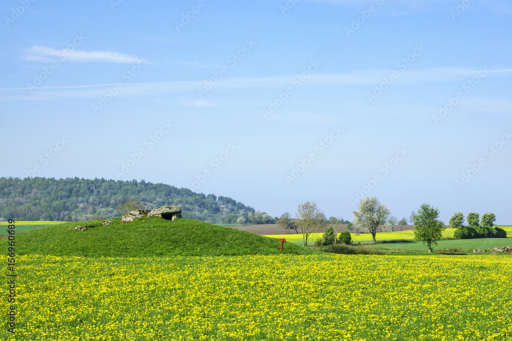 Flowering dandelion field with a megalith grave on a hill