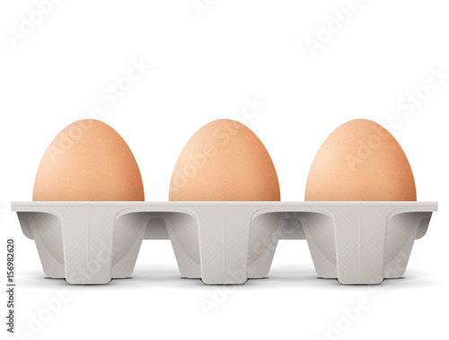 Chicken eggs in carton egg box isolated on white background. Cardboard egg tray with brown eggs, front view. Best vector illustration for bird eggs, food, poultry farming, gastronomy, cooking, etc