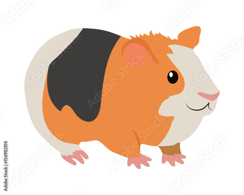 Guinea Pig Cartoon Icon in Flat Design