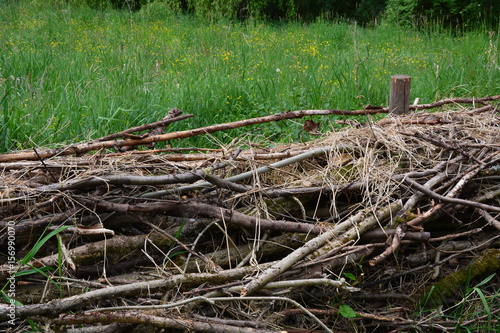 Totholzhecke neu angelegt