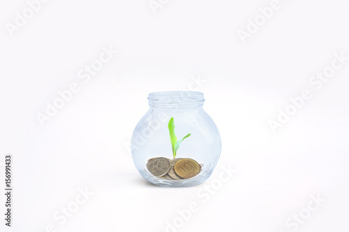 coins and plant in bottle, Business investment growth and saving concept.