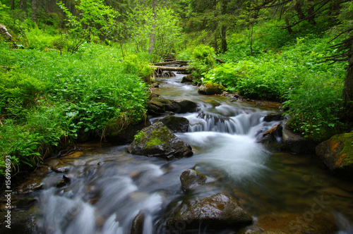 Creek in the woods