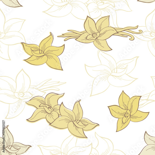 Vanilla pod flower graphic color seamless pattern illustration vector