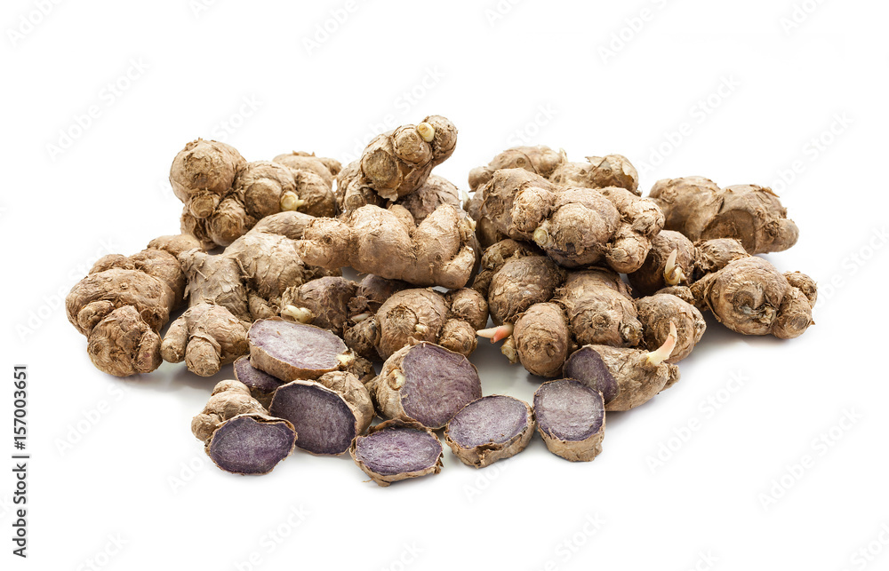 black galingale root isolated on white background black galingale root isolated on white background