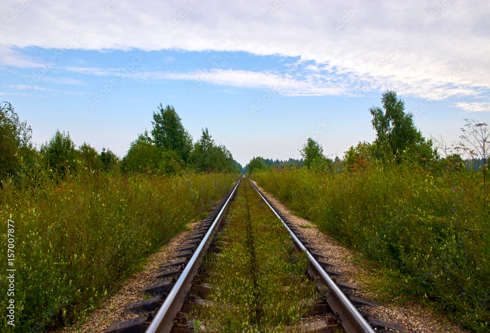 Old rails in landscape. Railway to horizon.