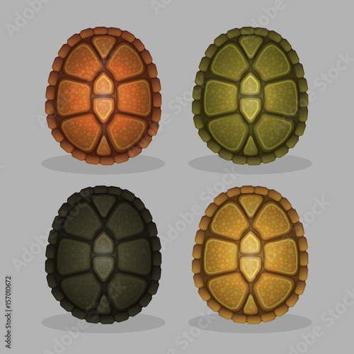 Ocean sea turtle shells