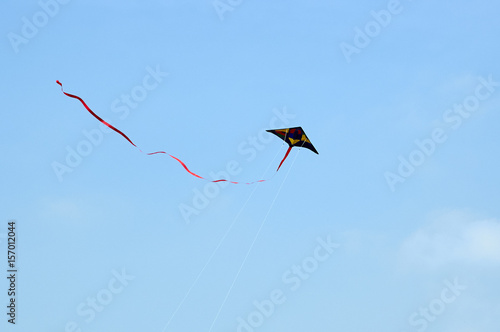 Flying Kite in the sky