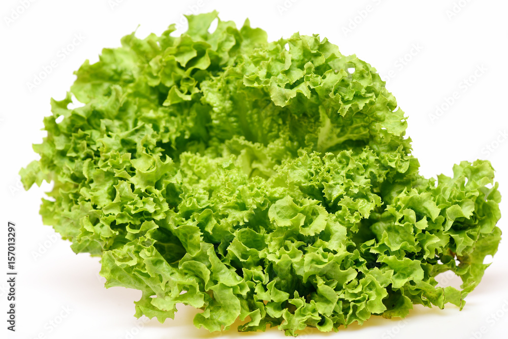 leafy vegetables or green lettuce leaf isolated on white leafy vegetables or green lettuce leaf isolated on white