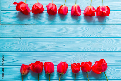 Floral border  of fresh Red tulips flowers on blue wooden background. Spring concept.  Beautiful Card for Happy Mother’s Day, Valentine’s Day, Woman’s Day 8 March. Top view, flat lay, copy space. photo