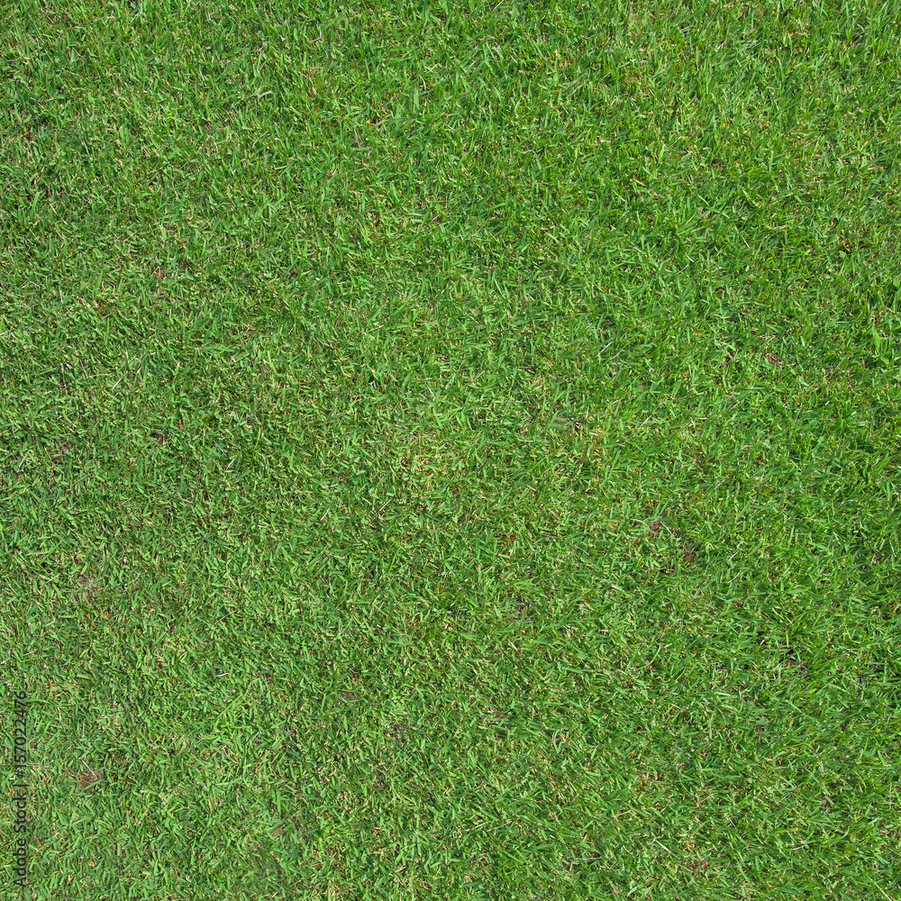 Obraz premium Green grass field for football