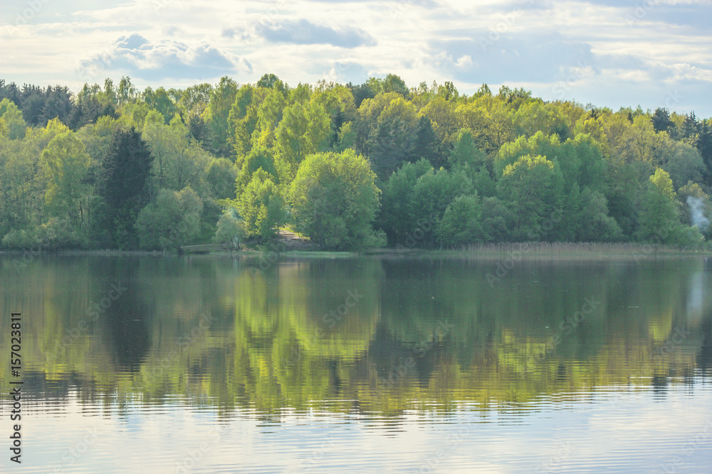 Green summer forest and its reflection in the lake Green summer forest and its reflection in the lake