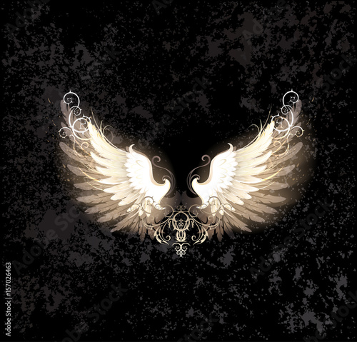 Light Wings
