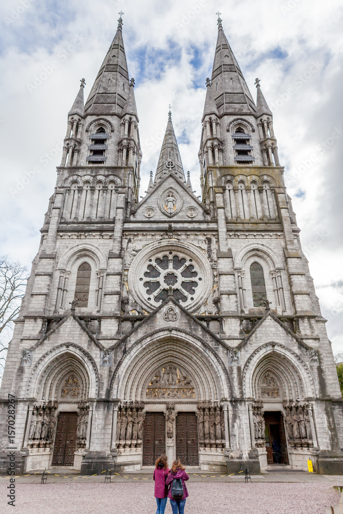Fototapeta premium Cathédrale Saint Fin Barre, Cork, Irlande