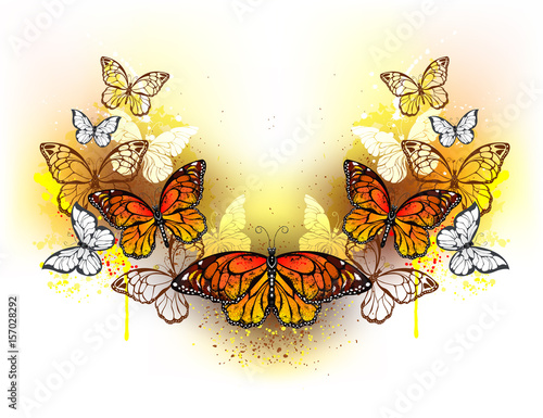 Symmetrical pattern of butterflies monarchs