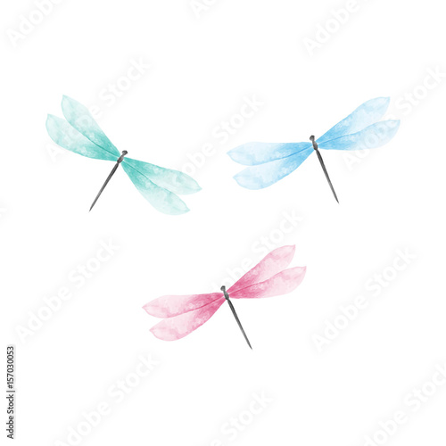Dragonfly vector illustration