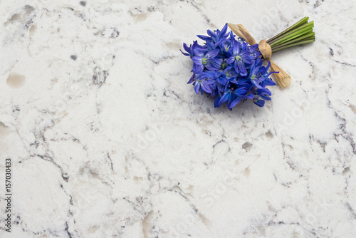 Spring blue wild flowers Scilla bouquet on Delta White quartz counter