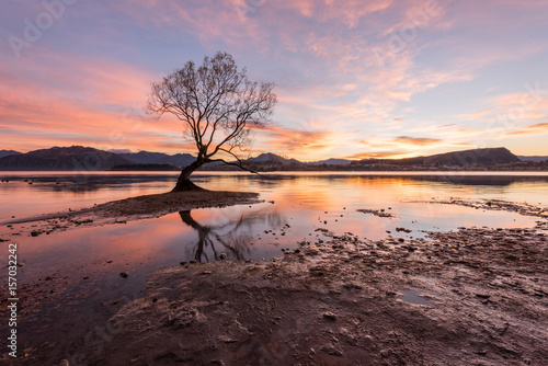 Sunrise Lonely tree Wanka Lake photo