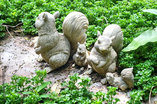 Squirrel plasters decorate in green garden.