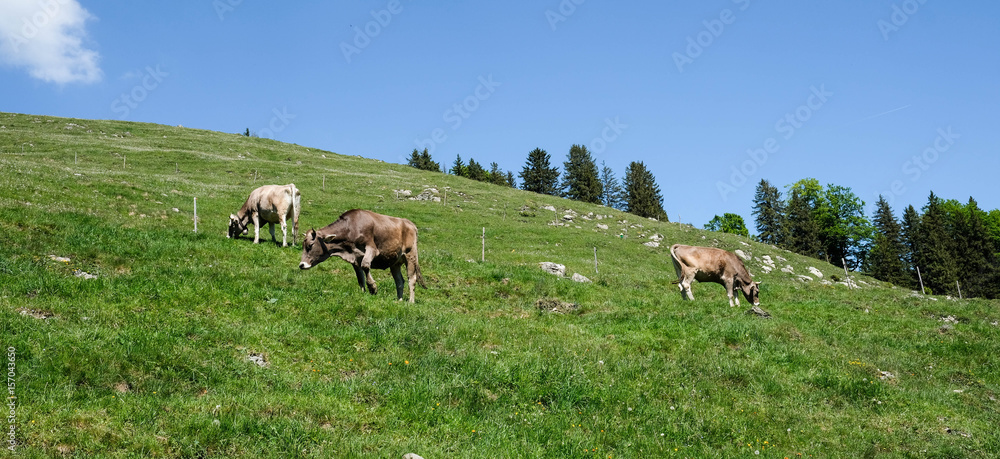 Berge und Hochalpines Gelände Berge und Hochalpines Gelände
