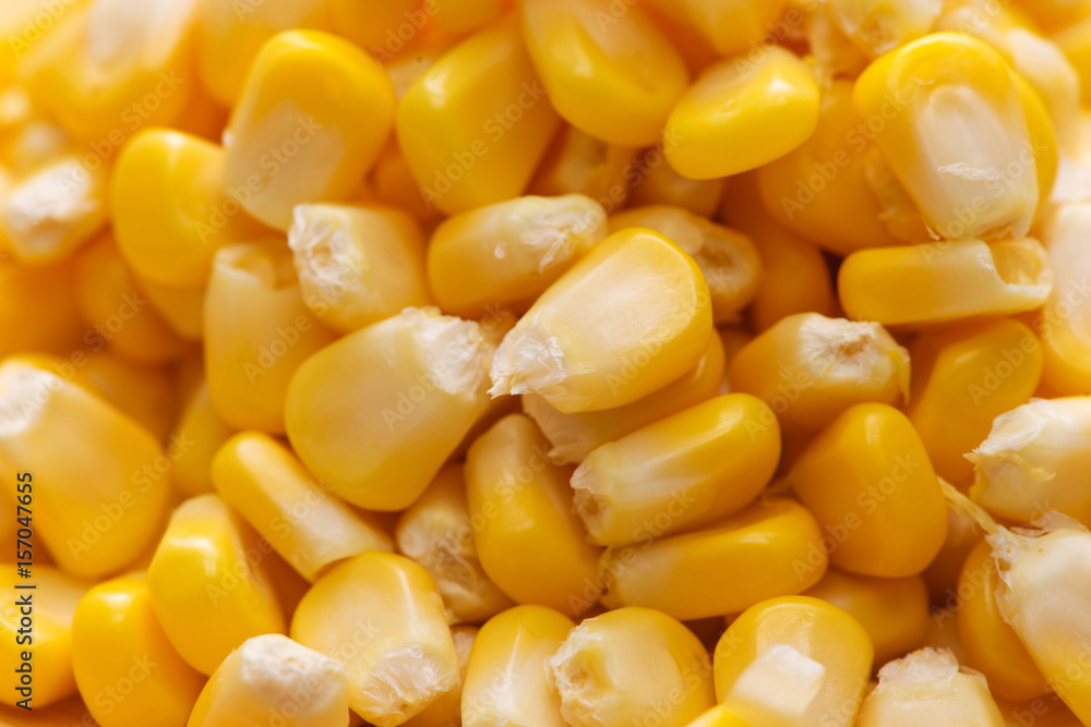 Closeup of fresh sweet yellow corn seeds Closeup of fresh sweet yellow corn seeds