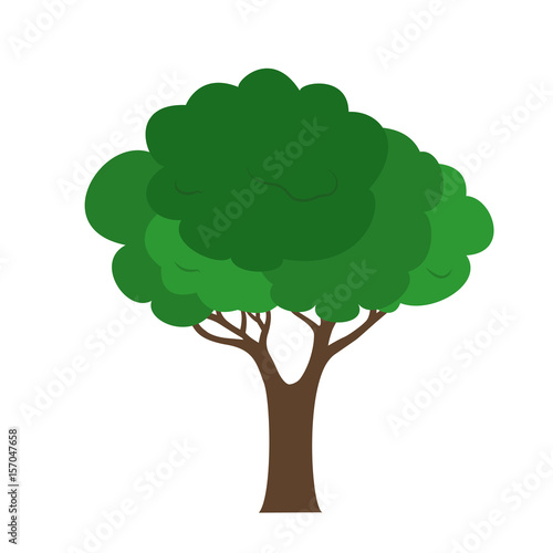 Vector illustration of a green tree with a brown trunk isolated on a white background