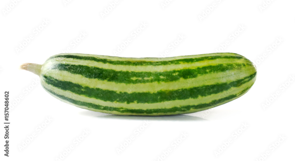 cucumber isolated on white background cucumber isolated on white background