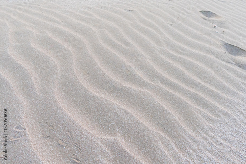 Sand ripple 