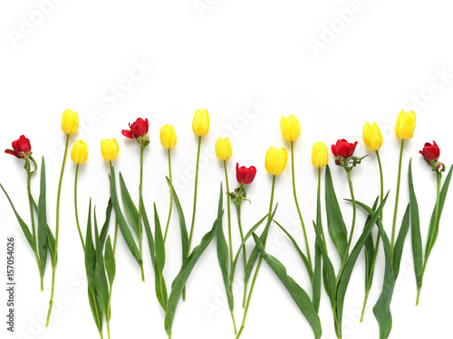 Yellow and red tulips isolated on white background. Pattern of tulips. Floral background.