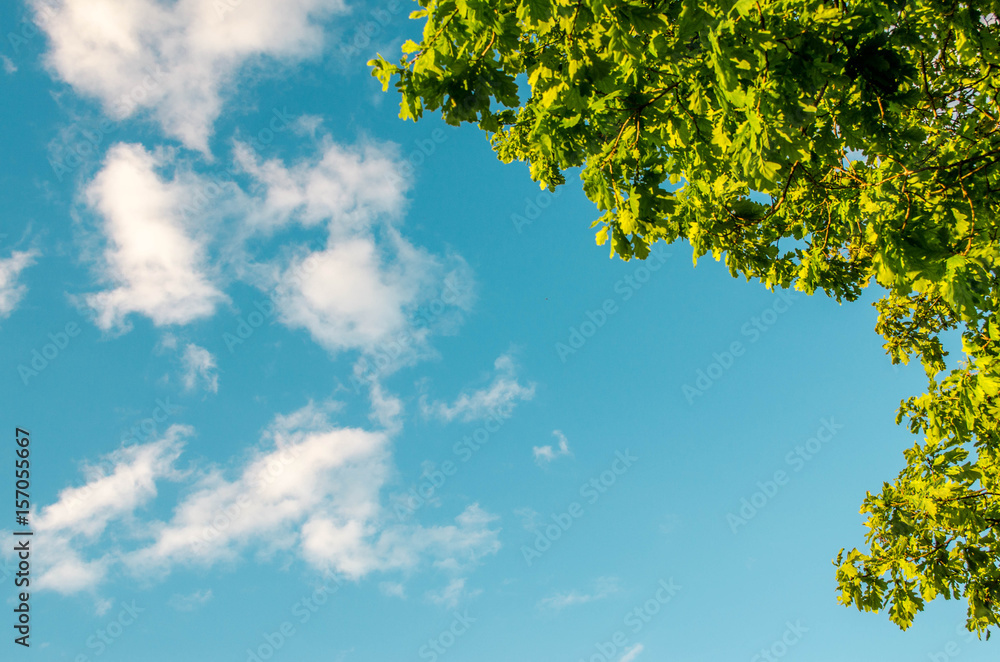 Fototapeta premium sky