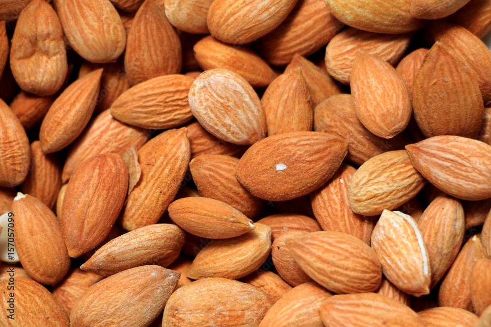 Fresh apricot seeds background Fresh apricot seeds background