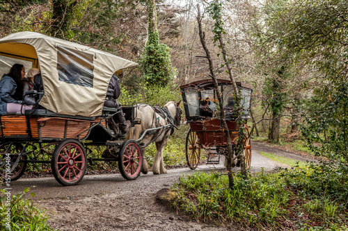 Fototapeta Naklejka Na Ścianę i Meble -  calèche