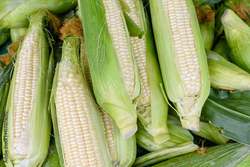 White corn for sale