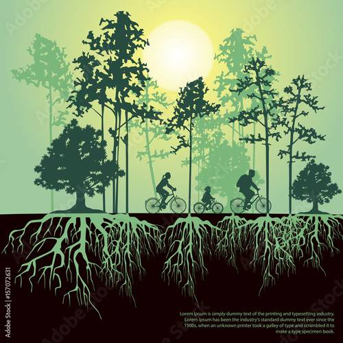 Split illustration with trees and roots. Family riding bicycles